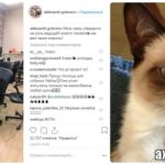 Придурковатая старушенция Ольга Васильевна Гобозова вновь появится в стенах Дом 2